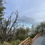 Glaciar Perito Moreno - Pasarelas