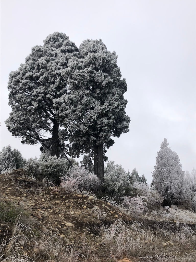 Explorando la Patagonia Invernal: una aventura entre escarcha y naturaleza