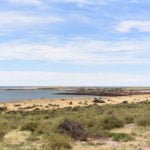 Reserva natural de Punta Tombo - Chubut