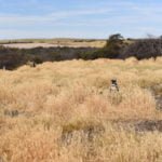 Reserva natural de Punta Tombo - Chubut