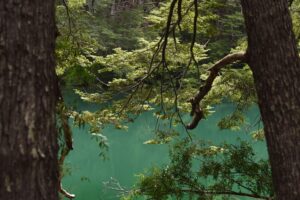 Lago Rivadavia - Parque Nacional Los Alerces