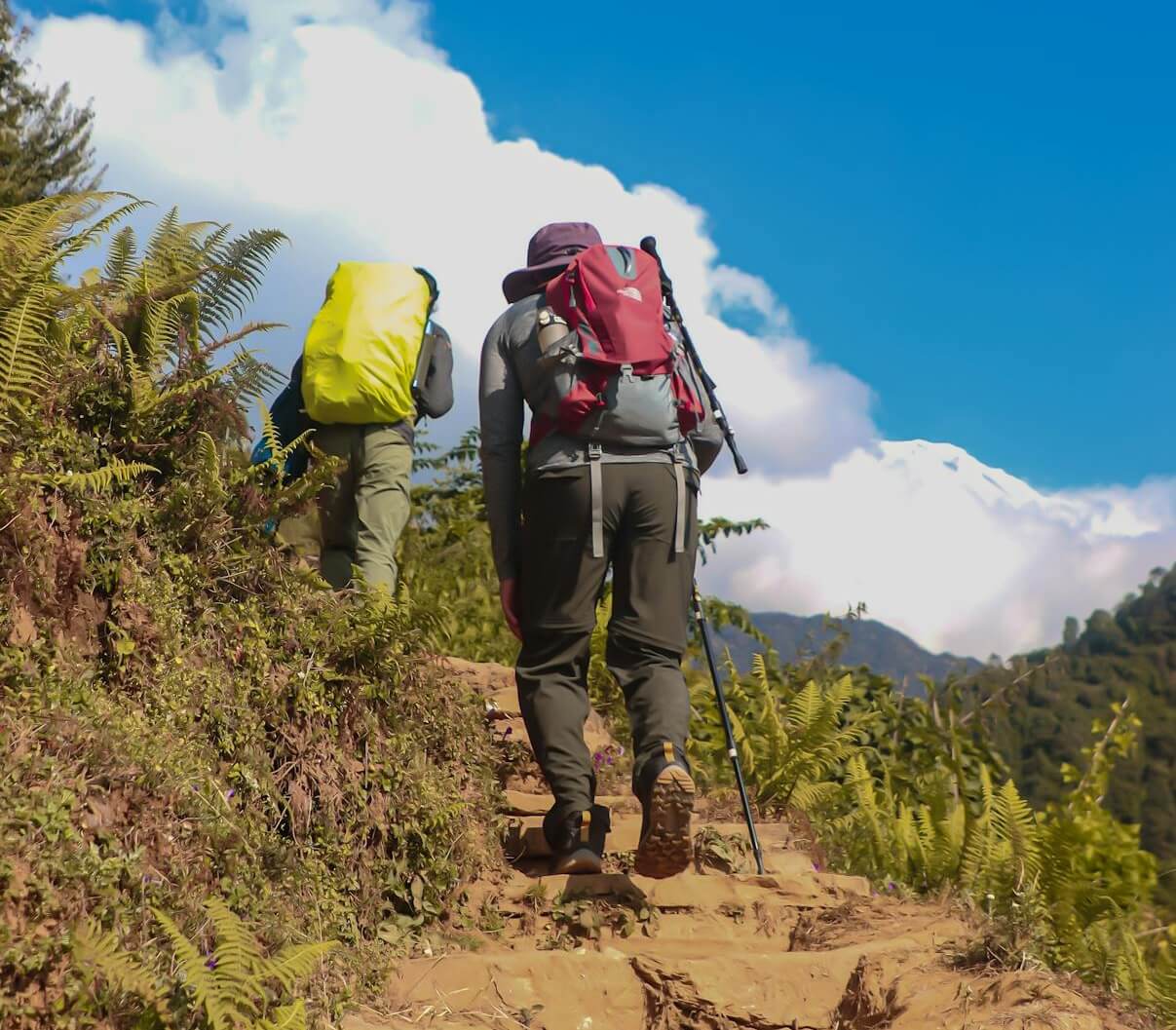 ¿Qué tipo de ropa es ideal para visitar la Patagonia?