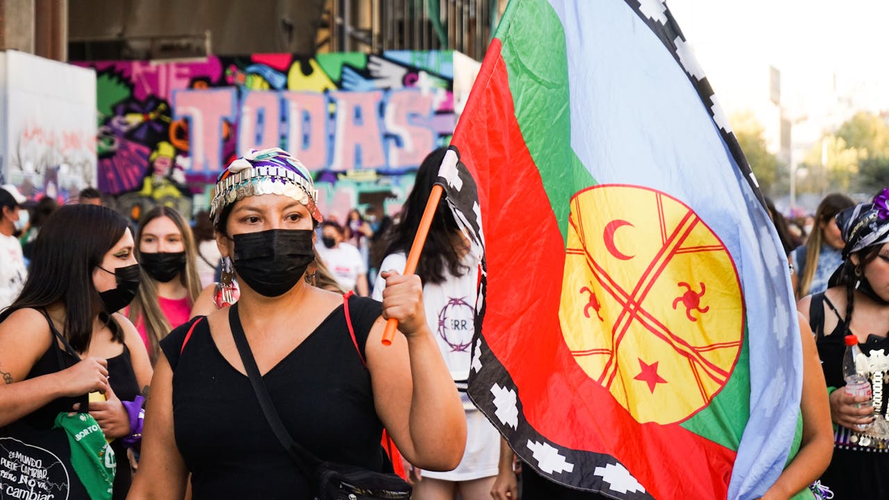 Mapuche Flag with Activist