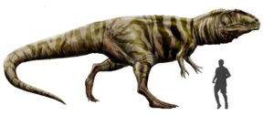 Giganotosaurus carolinii