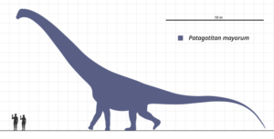 Patagotitan mayorum
