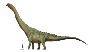 Patagotitan mayorum