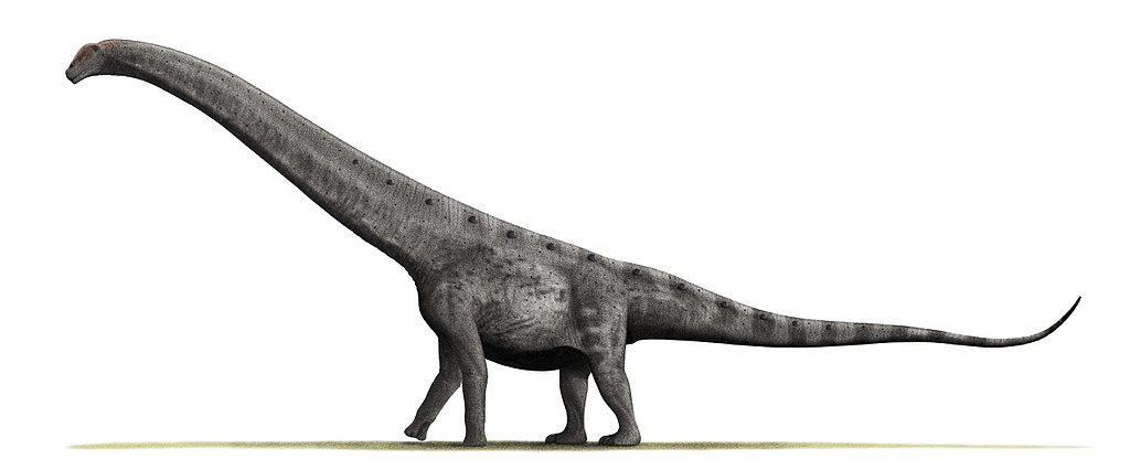 Argentinosaurus huinculensis
