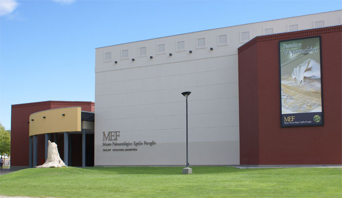 Museo Paleontologico Egid