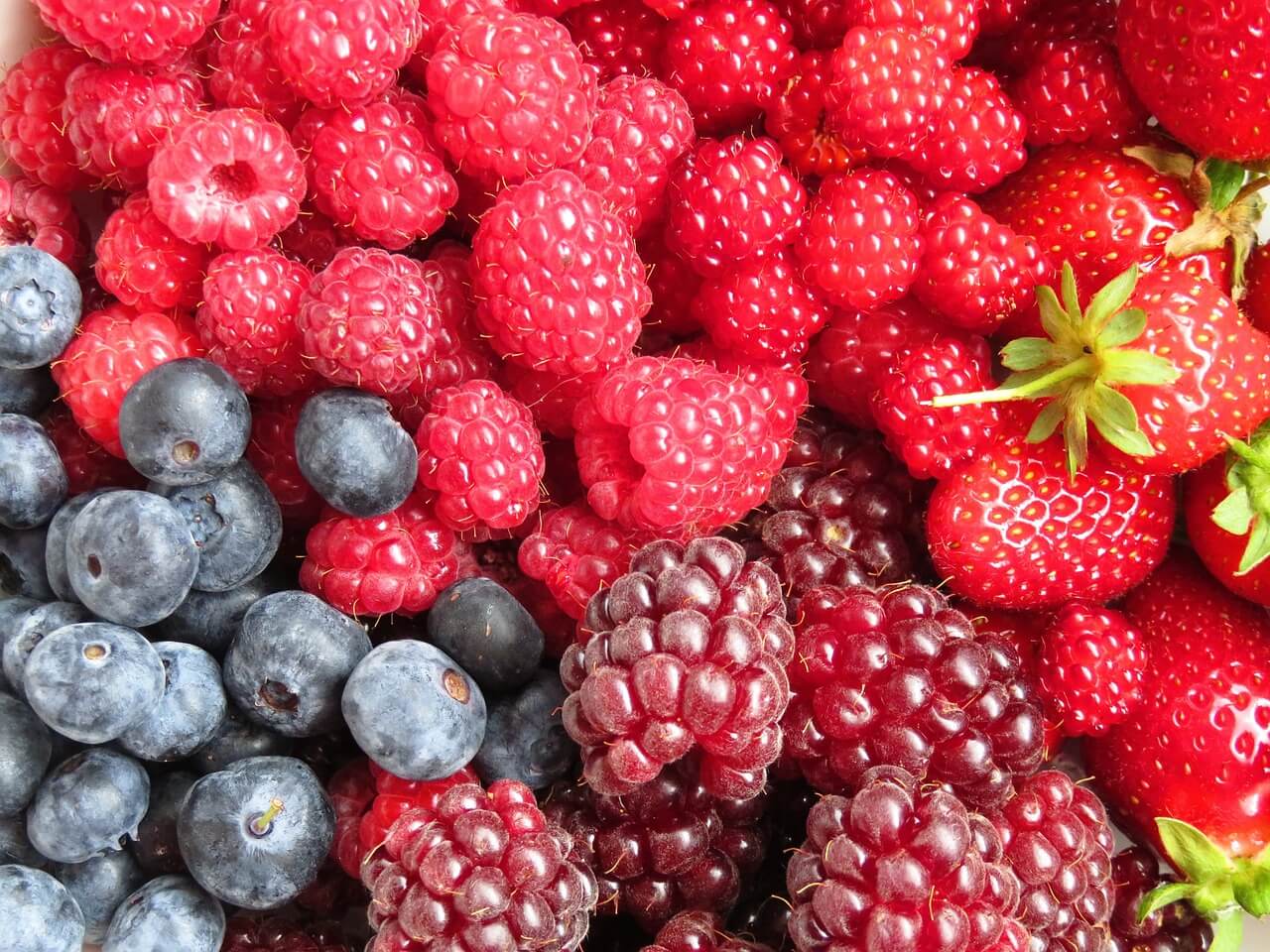 Red Berries