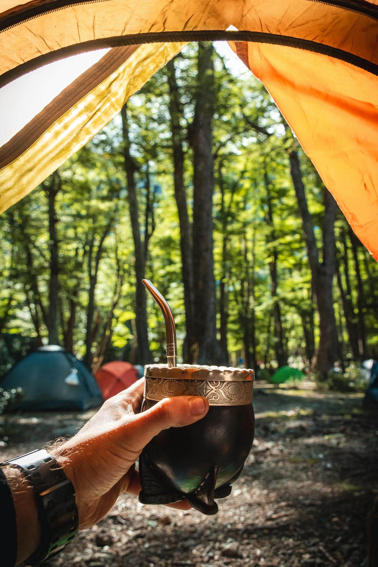 Mate: What It Is, How to Prepare It, and Why You Should Try It