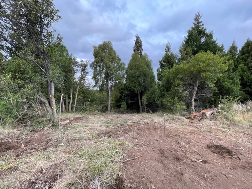 Limpieza completa del terreno