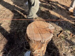 Cómo Construir una Tarima Sólida sobre Postes