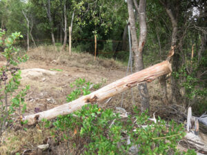 Poste limpio
