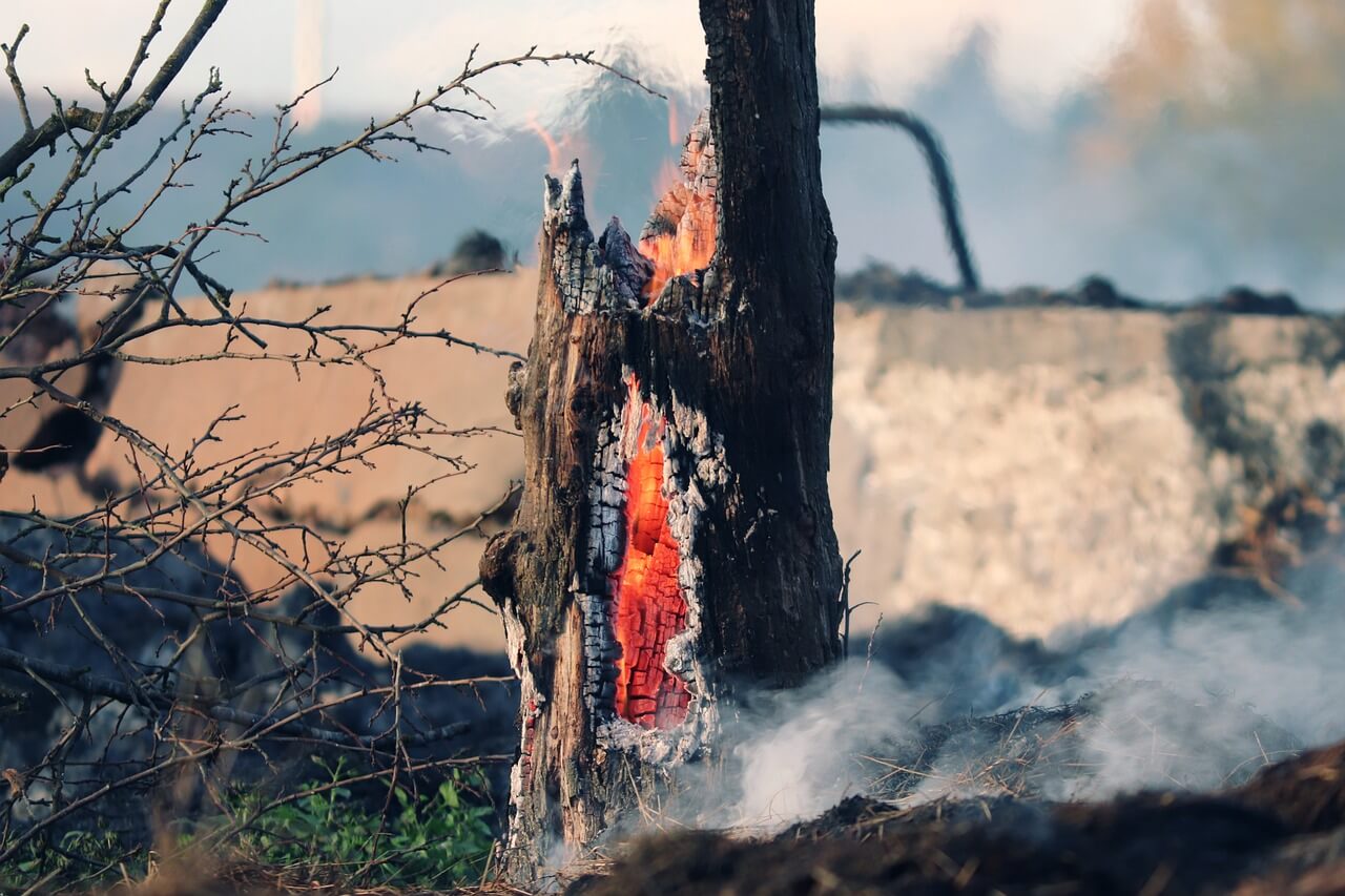 Patagonia Wildfires: Causes, Impacts & Solutions