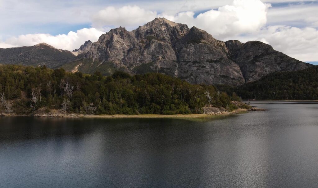 Cipres de la Cordillera - Austrocedrus chilensis