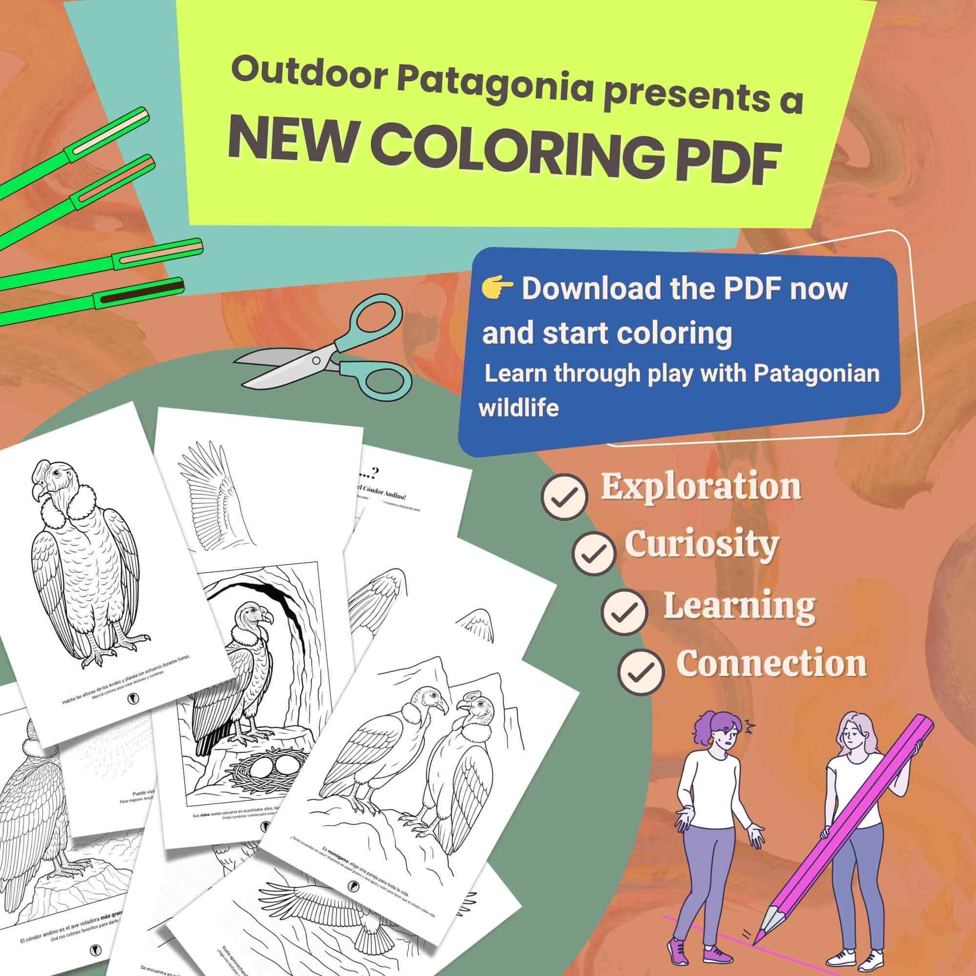 Patagonian Wildlife: Andean Condor Coloring Pages