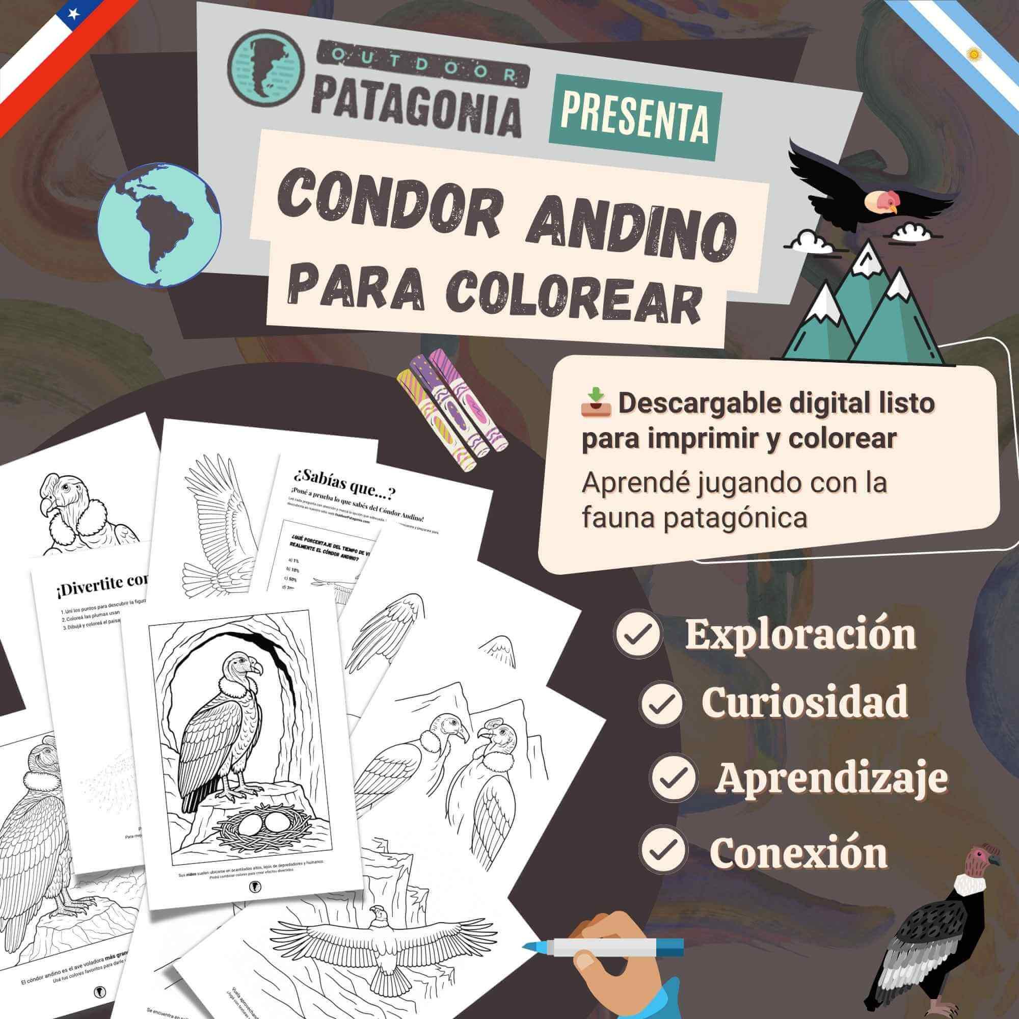 Dibujos para colorear cóndor andino – Fauna Patagónica