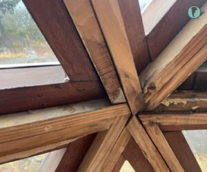 Aparición de hongos y deterioro en encuentro de vigas del domo geodésico alrededor de abertura triangular