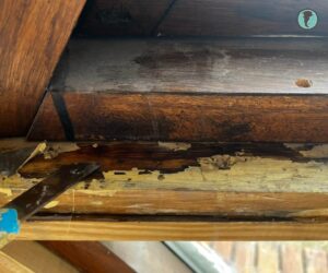Madera oscurecida por filtraciones de agua en estructura de domo geodésico dos años después