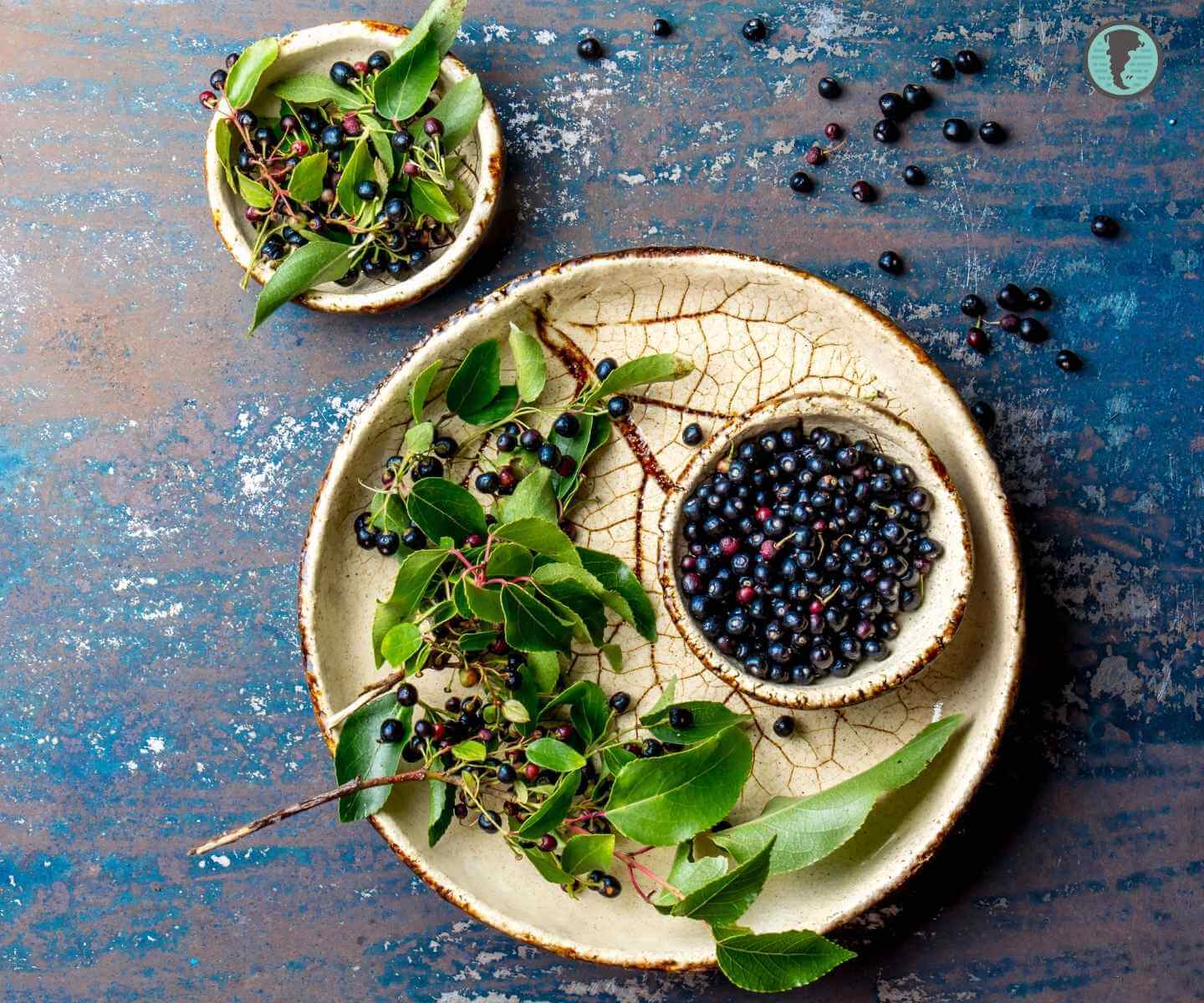 Traditional Chilean chicha de maqui and other homemade berry preserves
